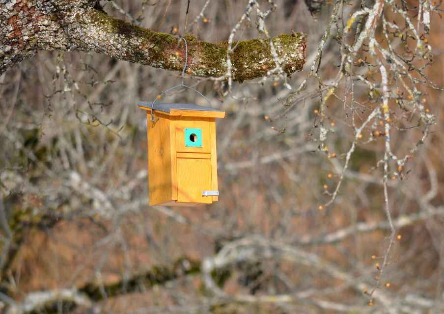 Bird nesting box after thorough fall cleaning