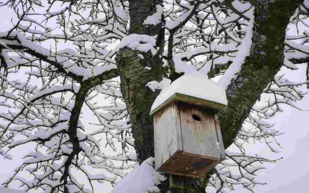 A backyard birdhouse covered in snow in winter.