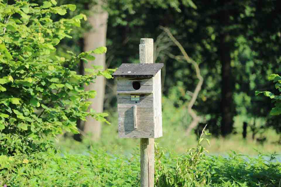 A weathered wooden birdhouse with a circular entrance hole mounted securely on a vertical pole in a sunny garden.