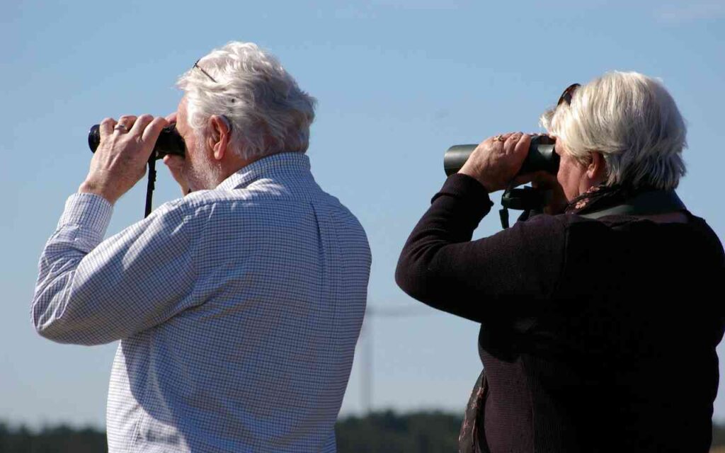 Senior birders using image stabilized binoculars to neutralize hand tremors during backyard birding.