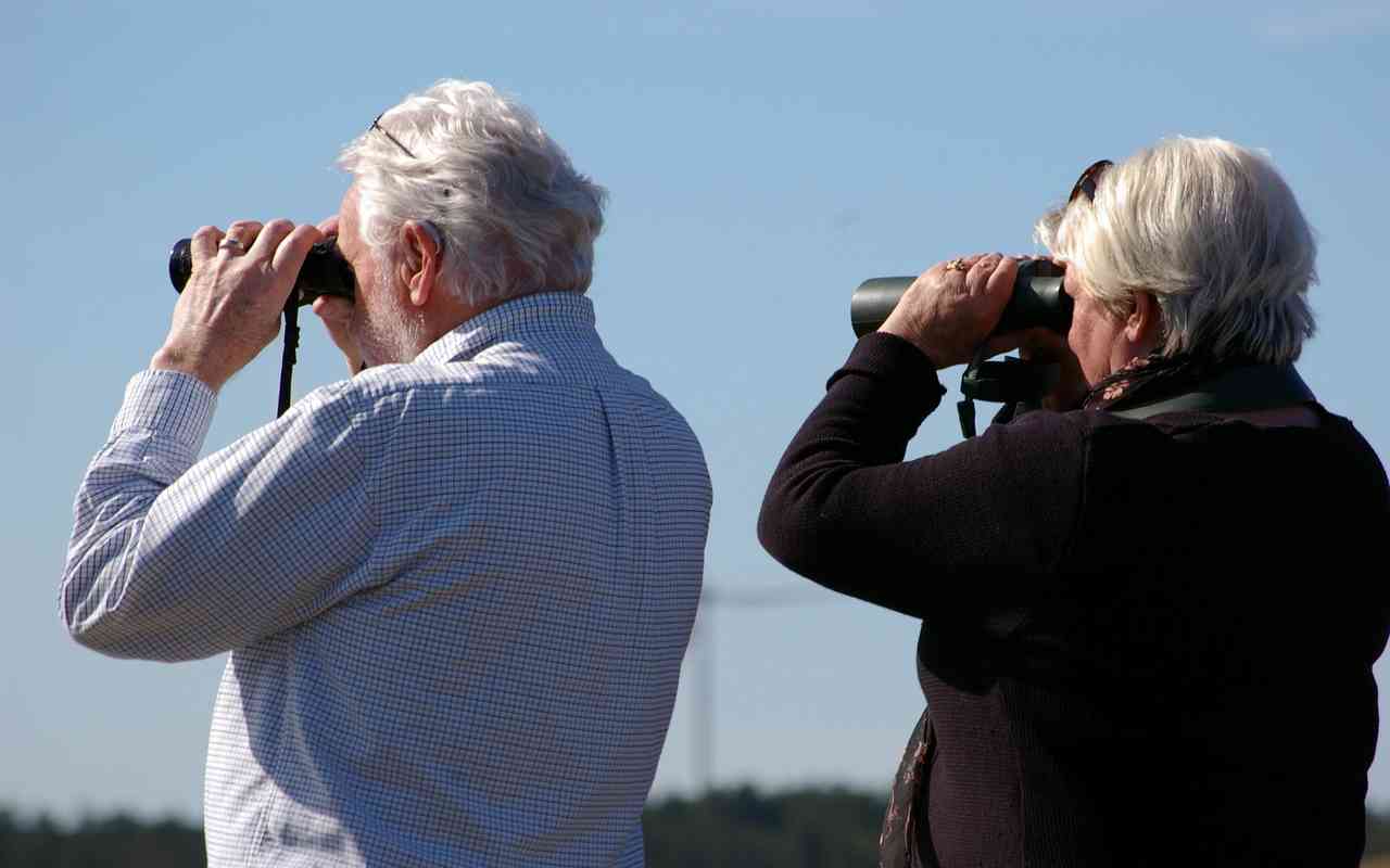Senior birders using image stabilized binoculars to neutralize hand tremors during backyard birding.