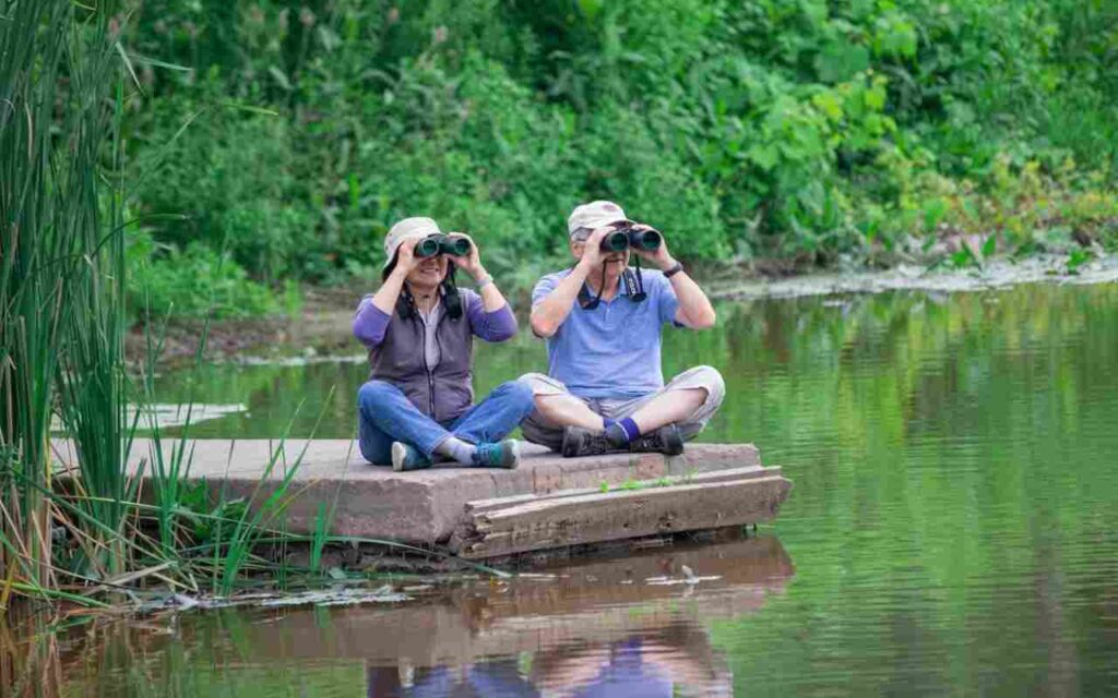 A senior man with eyeglasses and a senior woman sitting on a dock looking through lightweight binoculars for birding.