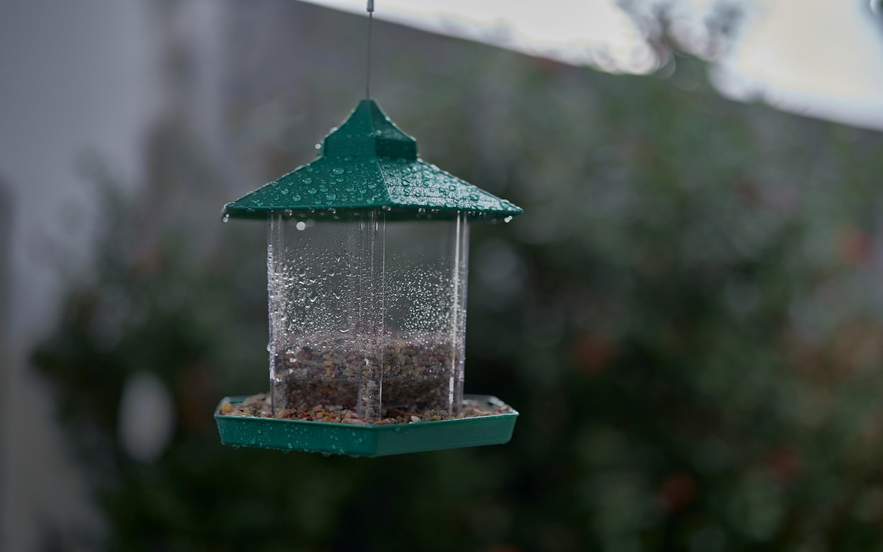 A clear polycarbonate weather guard dome installed above a hanging bird feeder to block rain and moisture.