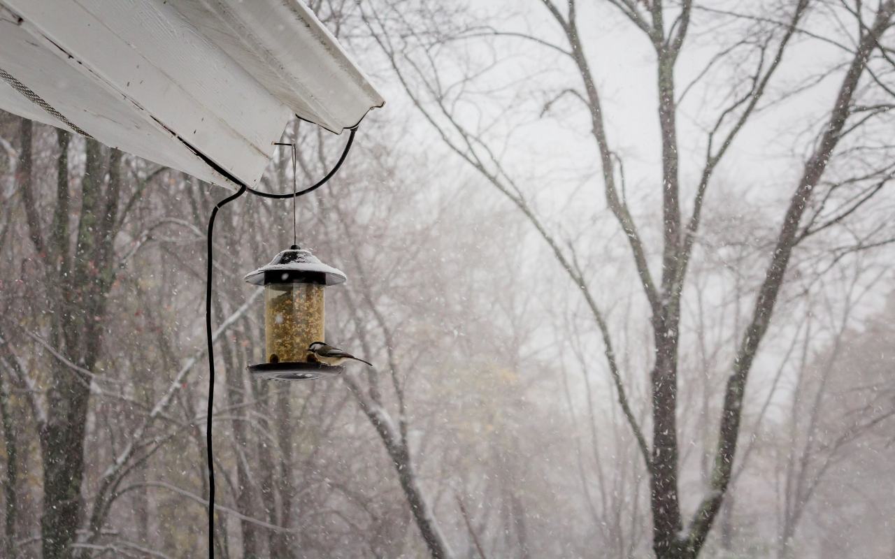 A hanging tube bird feeder swaying under a house eave during a heavy winter wind and snow storm with a chickadee perched.