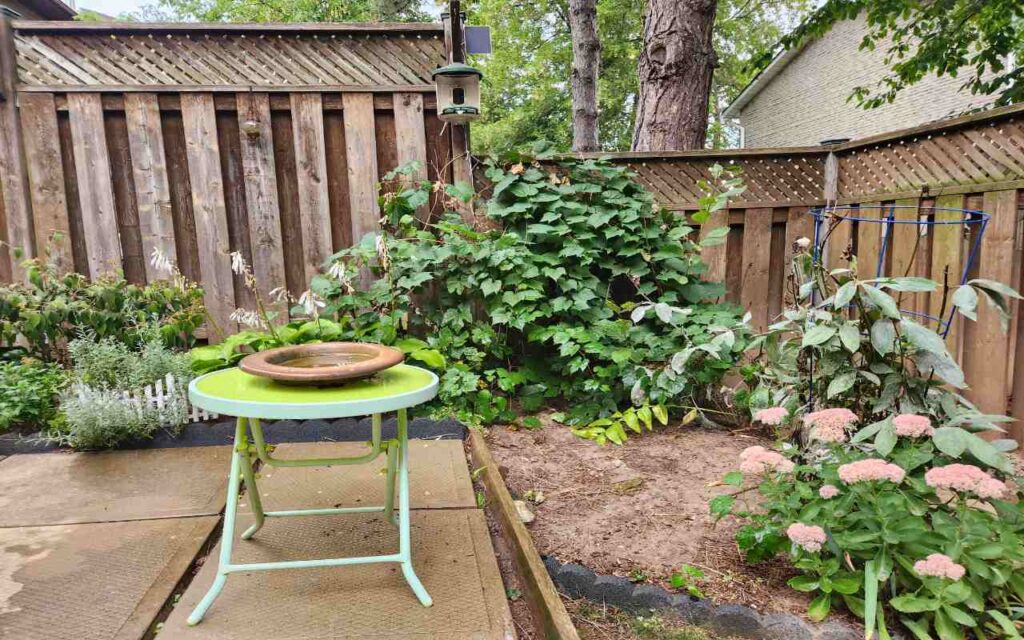 A shallow terracotta plant saucer placed on a green table outside to show a low-cost layout for backyard bird baths.