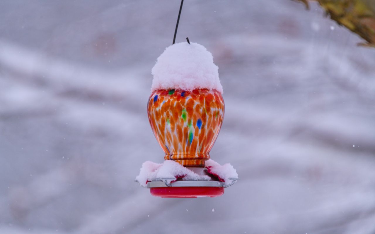 A close up shot of a glass feeder in the snow to show how to keep a hummingbird feeder from freezing during winter weather