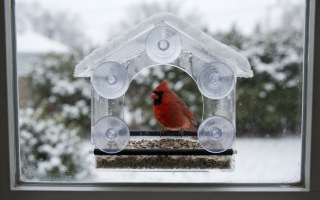A raw, unedited photo taken from indoors showing a clear plastic window bird feeder stuck to a snowy window pane with a small gray bird eating inside.